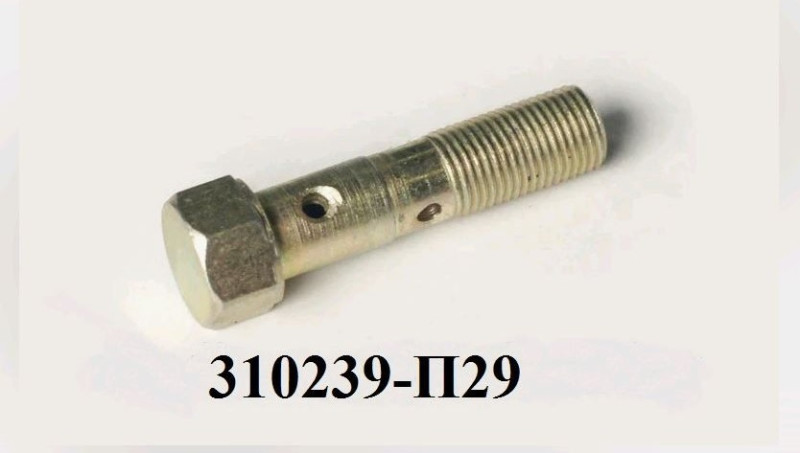 Штуцер топливный 10*40 310239-П29
