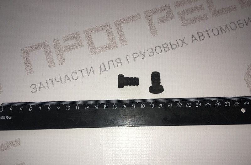 Болт 4593486555 (М10-6ДХ16 крепления шестерни ТНВД 7511, 7601, 236 БЕ/НЕ)